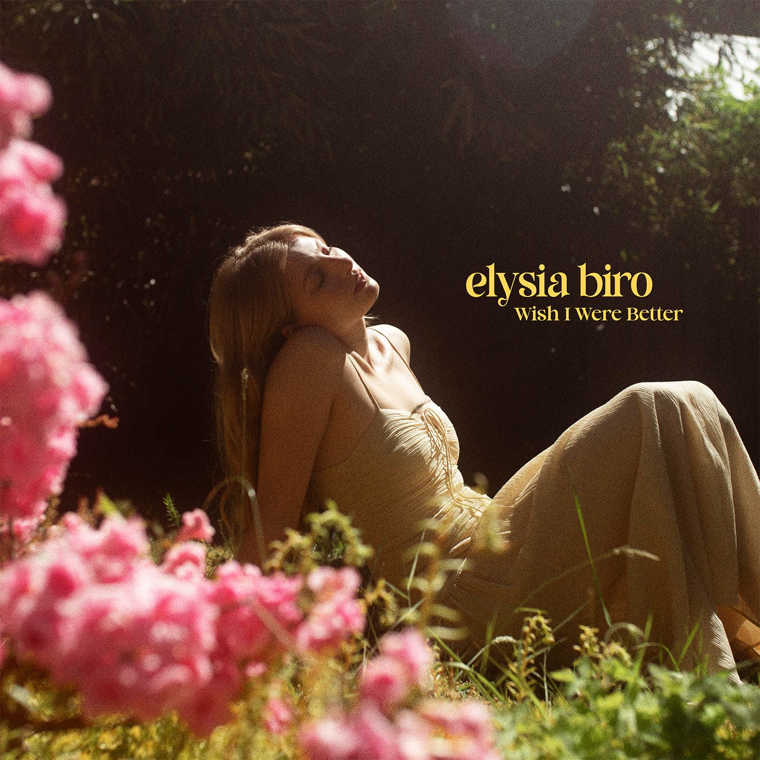 ElysiaBiro_WishIWereBetter